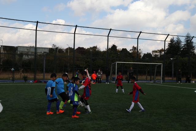 世欧预西班牙望全胜晋级 数据示力克土耳其