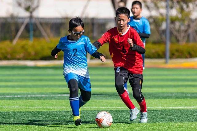 乒乓球德甲第二十一轮：樊振东独得两分  常规赛主场收官